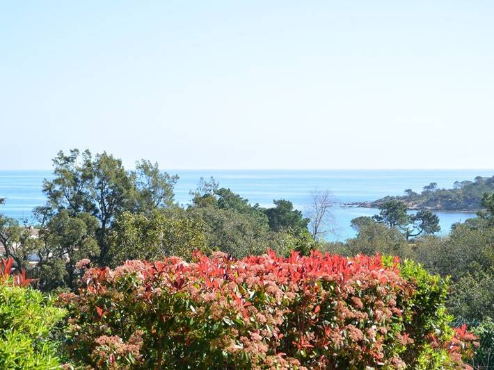 Gîte pour 5 personnes, avec piscine et terrasse dans Favone - 4