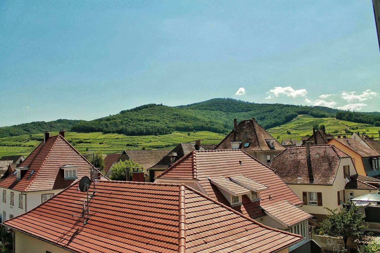 Appartement entier, Aux 6 hirondelles in Ammerschwihr, Parc naturel régional des Ballons des Vosges