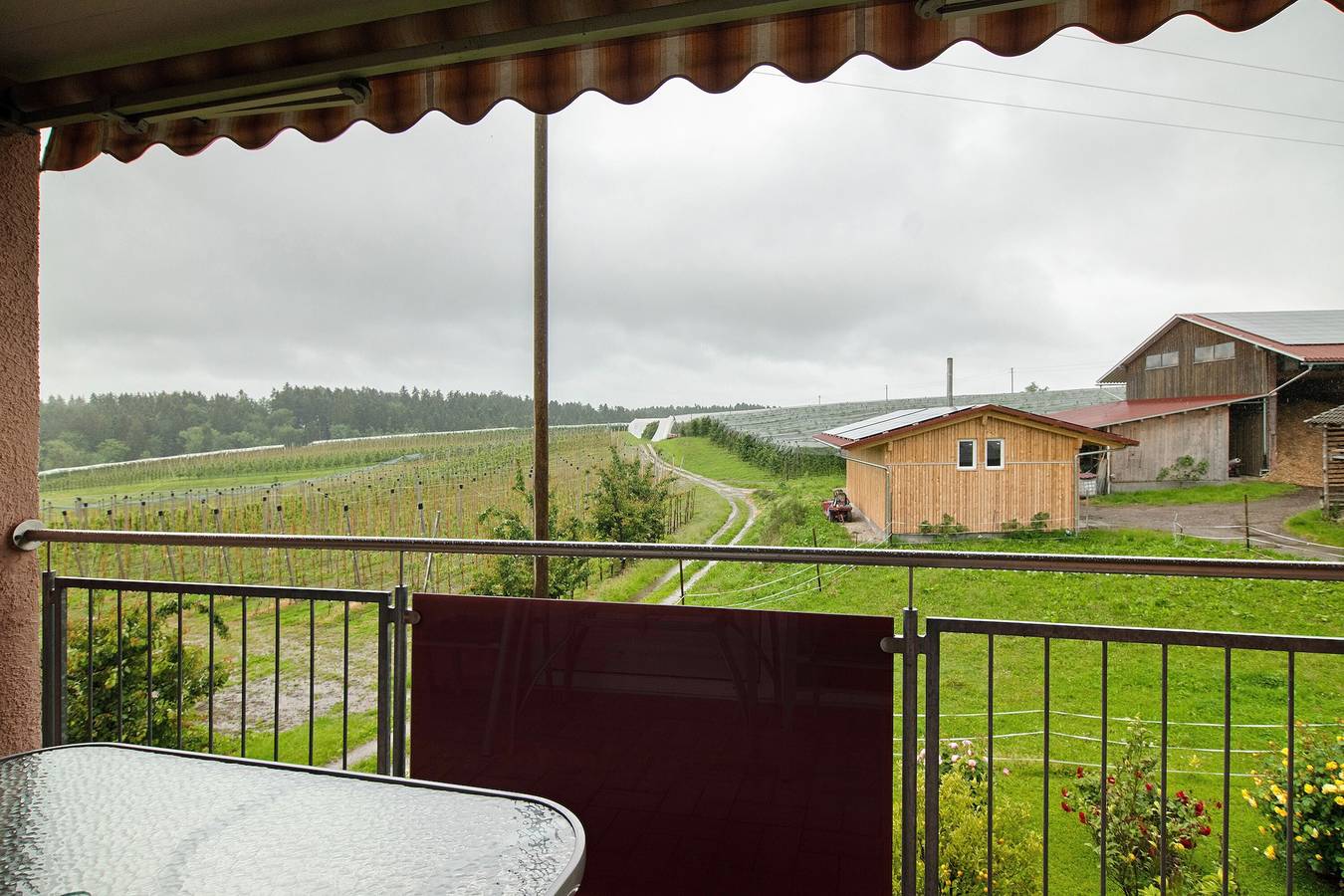 Apartamento entero, Ferienwohnung 'Die Hiemers' mit Bergblick, Gemeinschaftsgarten und Wlan in Kressbronn, Region Bodensee-Oberschwaben