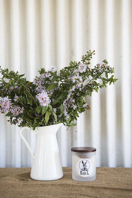 Oddfrog Lodges - Bunkhouse in Mid-Western Regional Council