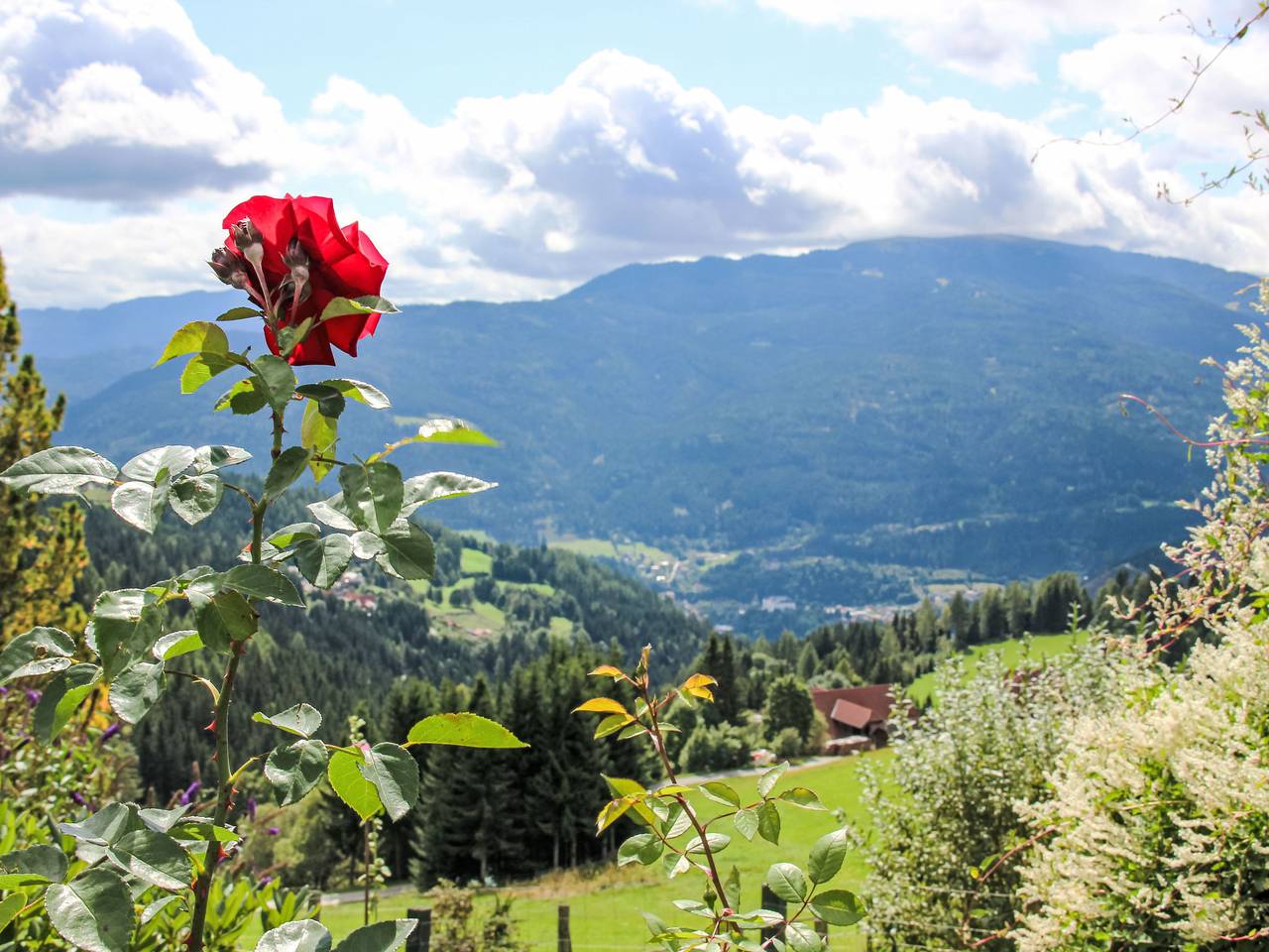 Ganze Wohnung, Haus Mauken - Appartments mit Panoramablick in Murau, Murau (Kreischberg)