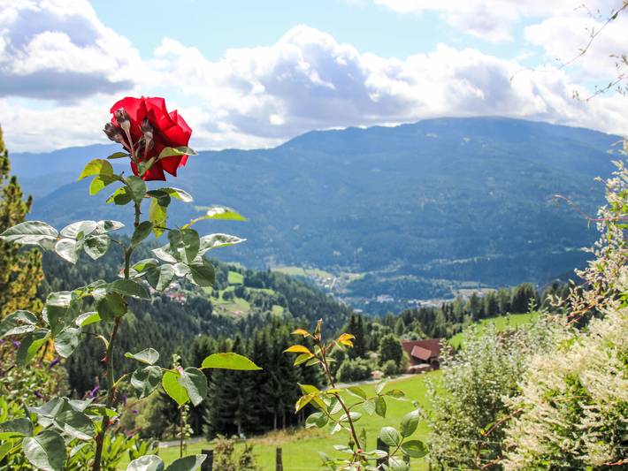 Ferienwohnung für 3 Personen, mit Balkon und Garten sowie Pool in Murau