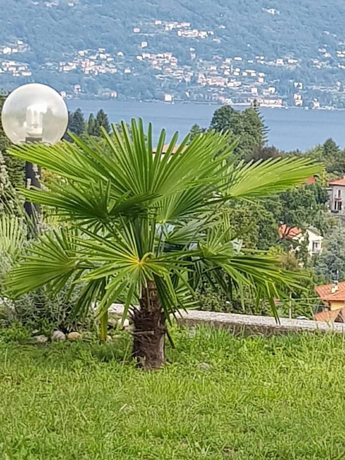 Ferienhaus für 5 Personen, mit Garten und Balkon am Lago Maggiore - 3