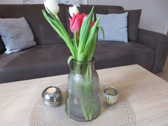 Ferienwohnung für 4 Personen, mit Terrasse in Westerbur - 4