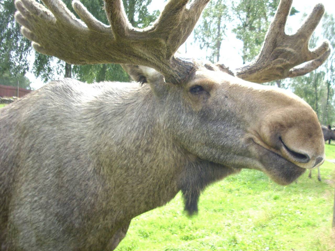 Gemütliches Cottage mit Whirlpool in Kalvshult, Kronoberg