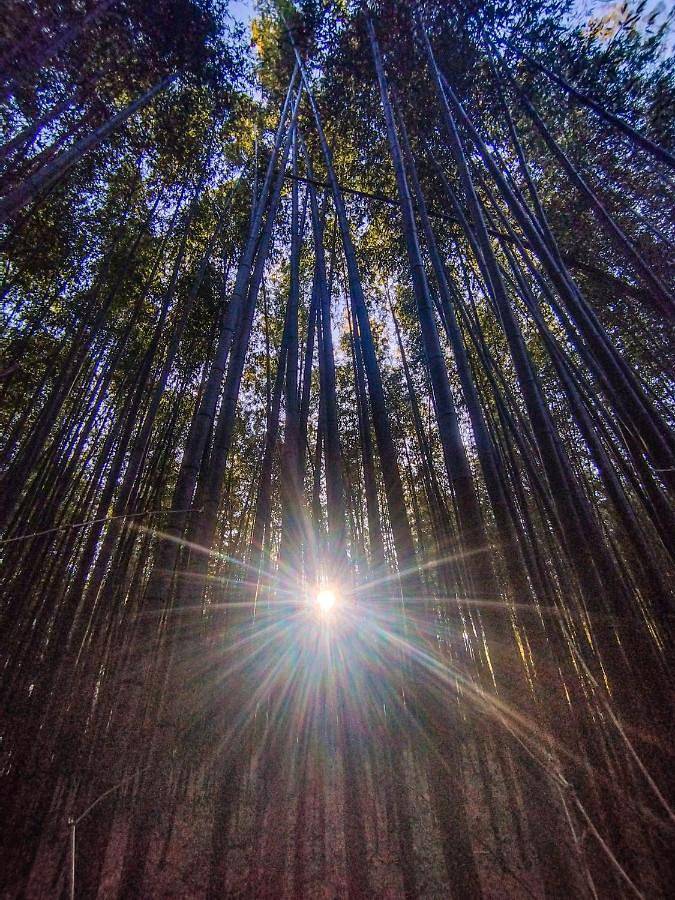 Chambre d’hôte pour 2 personnes, avec jardin et vue, animaux acceptés à Brisighella - 2