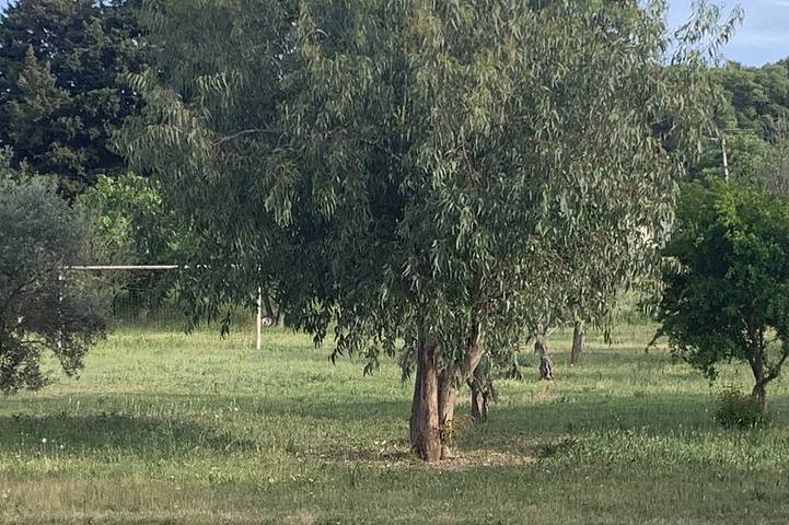 Maison de vacances pour 20 personnes, avec jardin, animaux acceptés à Saint-Rémy-de-Provence