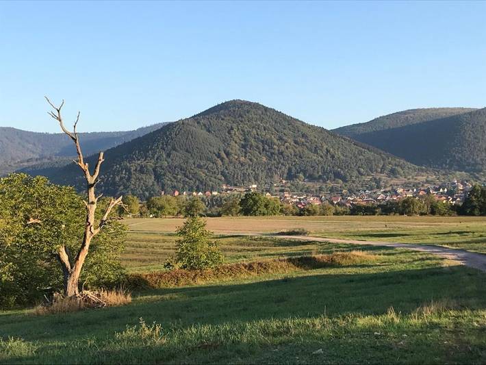 Location de vacances pour 4 personnes, avec vue et jardin à Oberhaslach - 4