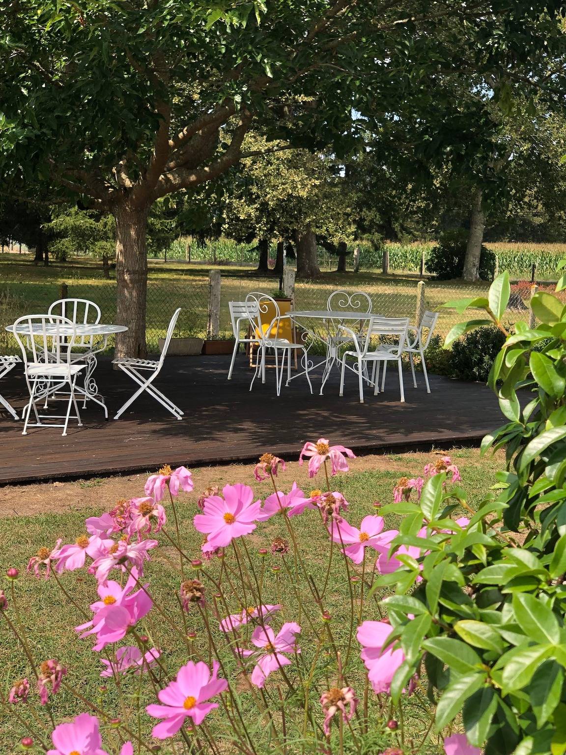Casa de vacaciones 'Bienvenue À La Maison' con terraza, jardín privados y Wi-Fi in Mézos, Côte d’Argent