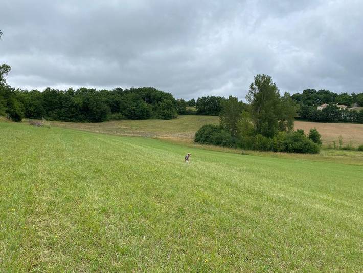 Location de vacances pour 12 personnes, avec vue ainsi que jardin et piscine, adapté aux familles à Montdoumerc - 2