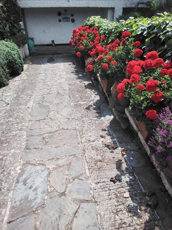 Maison d’hôte pour 4 personnes, avec jardin et vue à Bonassola - 2