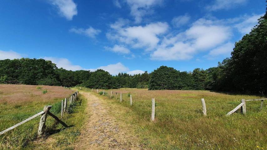 Ferienhaus für 9 Personen, mit Pool und Terrasse sowie Sauna in St. Sjørup - 4