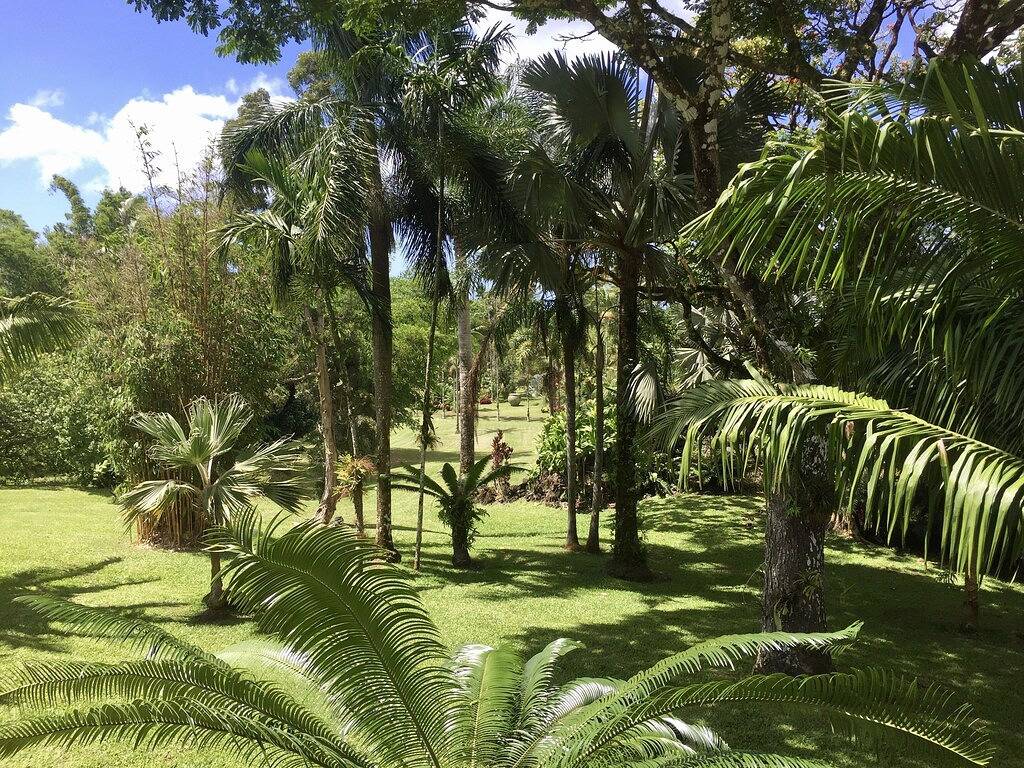 World Class Garden Residence in Kalapana, West Puna