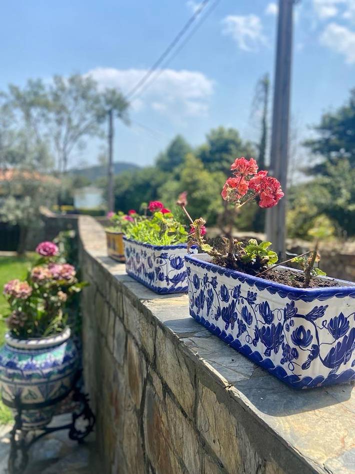 Casa de vacaciones para 5 personas, con jardín y terraza, Se admiten mascotas en Costa Occidental Asturiana - 3