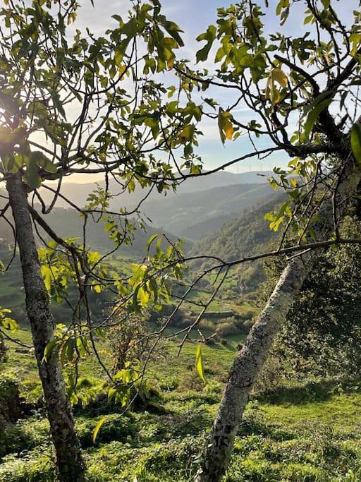 Location de vacances pour 4 personnes, avec terrasse ainsi que jardin et vue, animaux acceptés dans Sistelo - 4