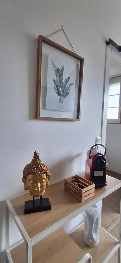 Gîte pour 3 personnes, animaux acceptés à Condé-sur-Noireau - 4