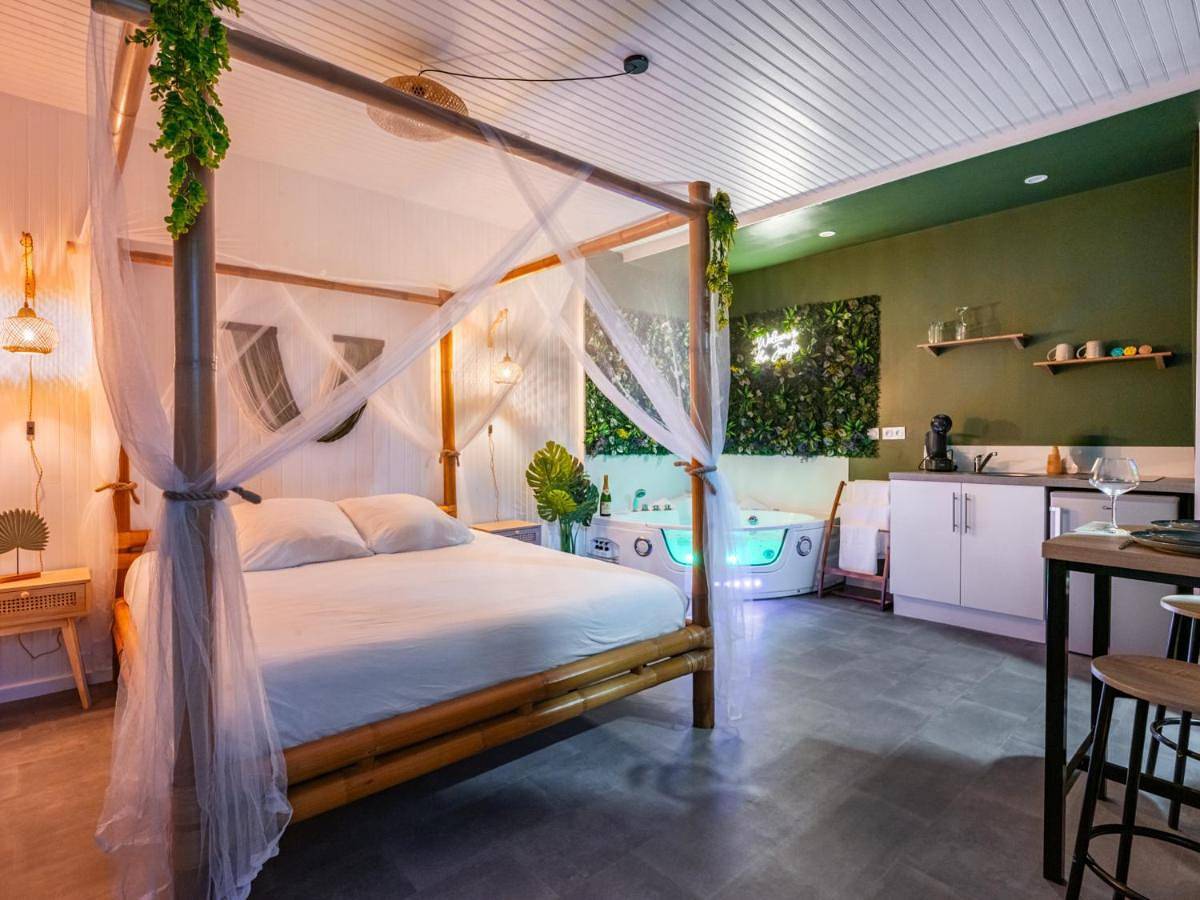 Appartement entier, Sault Tropical - Idéal couple - Balnéo Led - Vue parc & montagne - Wifi - Stationnement gratuit - 5min à pied des bars, restaurants & commerces in Sault, Parc naturel régional du Mont-Ventoux