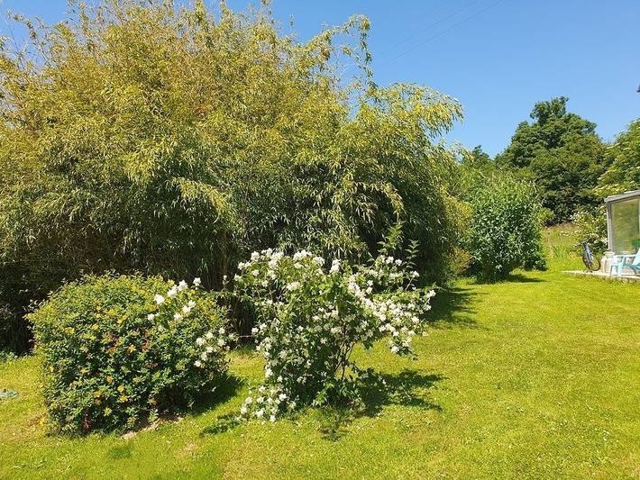 Location de vacances pour 5 personnes, avec terrasse et jardin à Ver (homonymie) - 2