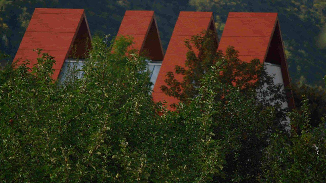 Ferienhaus für 4 Personen (130 m²) in Bullay in Bullay, Traben-Trarbach und Umbegung