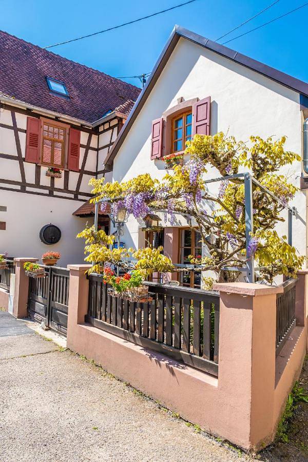 Ferienhaus für 3 Personen, mit Balkon und Terrasse sowie Ausblick in Wissembourg - 4