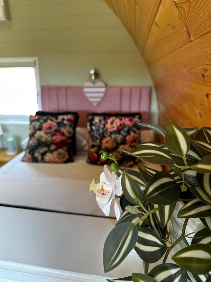Superior Family Room with Hot Tub (No pets allowed) in Sherwood Forest, Nottinghamshire