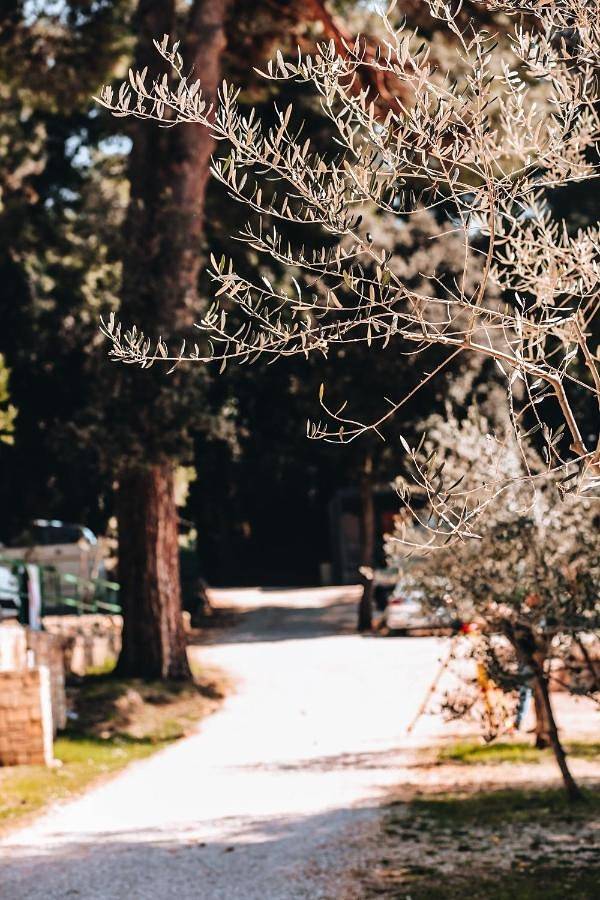 Camping für 6 Personen, mit Garten, mit Haustier in Rovinj - 2