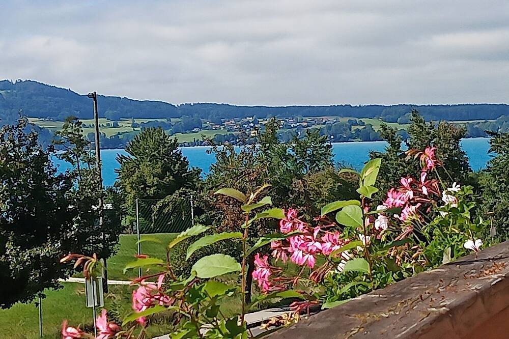 Ganze Wohnung, Appartement Rooming Green m. Aussicht v. Balkon in Weyregg am Attersee, Traunviertel