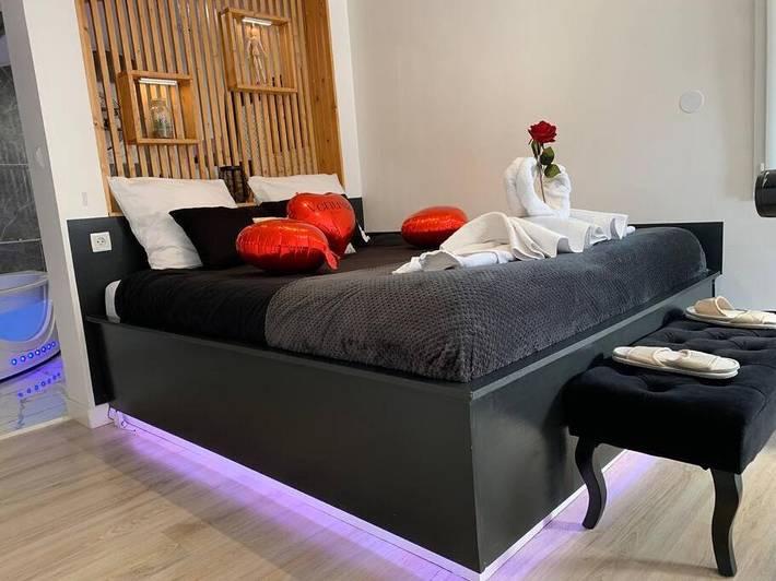 Gîte pour 2 personnes, avec jacuzzi et terrasse, animaux acceptés à Échirolles - 4