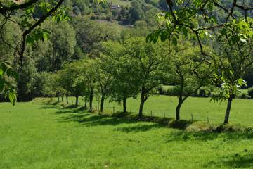 Maison De Vacances pour 6 Personnes dans Villecomtal, Aveyron, Photo 3