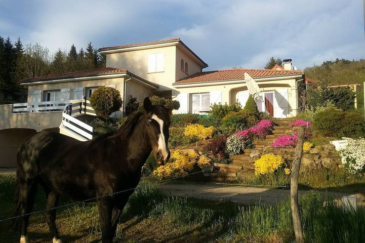 Maison de vacances pour 10 personnes, avec jardin et jacuzzi, animaux acceptés à Aydat