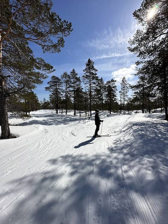 Fjellspurven in Vrådal, Kviteseid