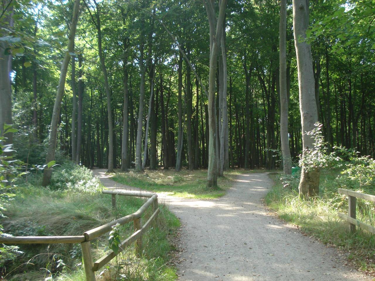 Küstenwald - Ferienwohnung Ostseeluft in Gelbensande, Rostock und Umgebung