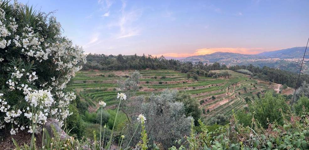 Casa de férias para 8 pessoas, com piscina e vista e ainda jardim, com animais de estimação em Baião