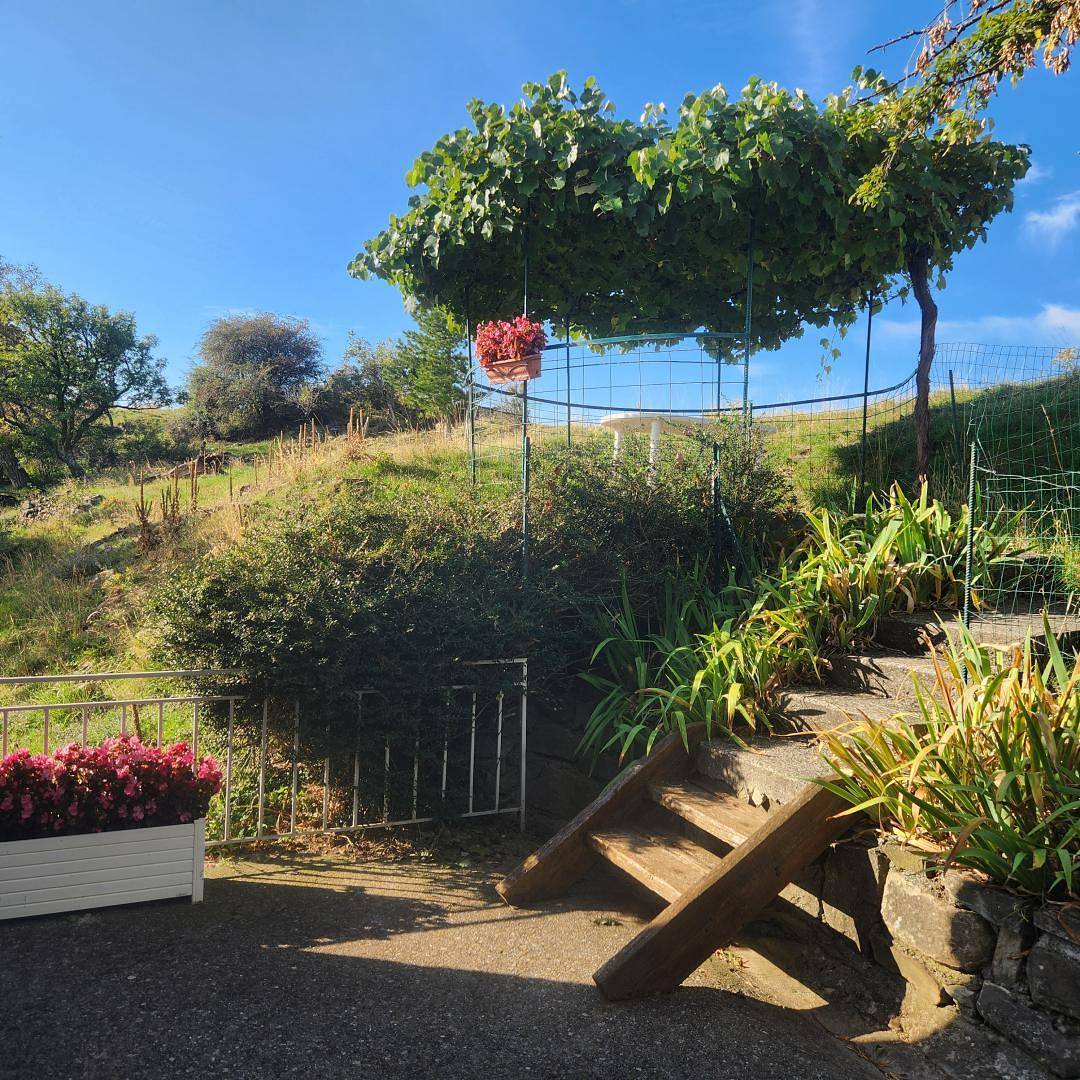Le Cytise in Le Castellard-Mélan, Alpes-de-Haute-Provence