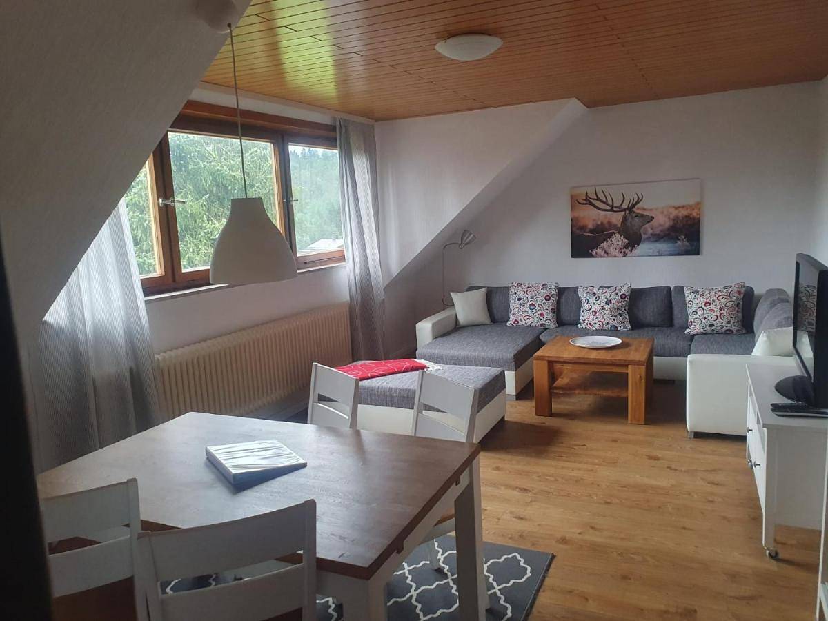 Four-Bedroom House in Altenau, Harzvorland