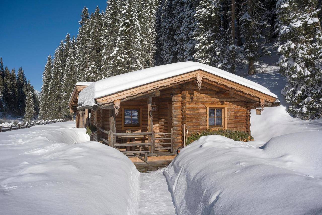 Ganze Wohnung, Almnest in Hochfügen mit privat Spa in Tuxer Alpen, Hochfügen