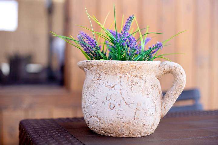 Casa rural para 3 personas, con jardín en Fuerteventura - 4
