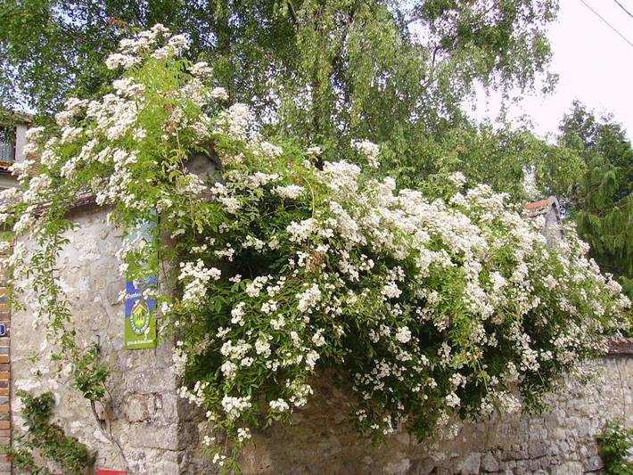 Location de vacances pour 3 personnes, avec jardin dans Seine-et-Marne - 2
