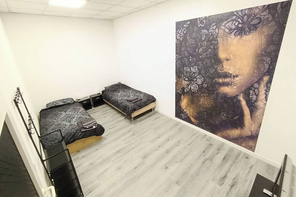 Ganze Wohnung, Lumara Apartment for 10 in Aschaffenburg, Mainviereck