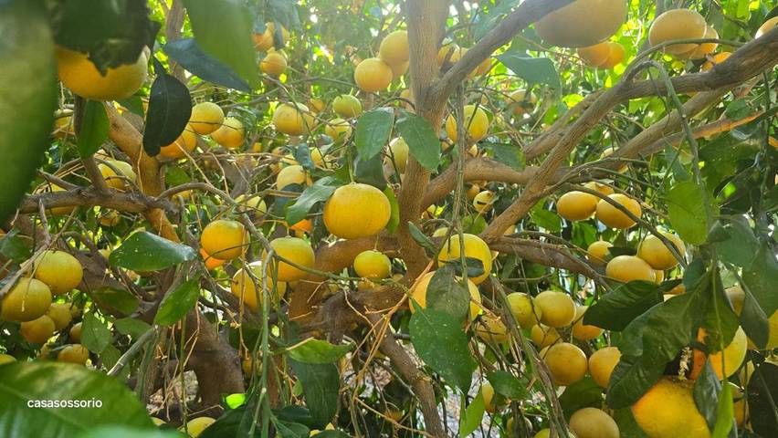 Casa rural para 3 personas, con vistas y jardín en La Gomera - 2