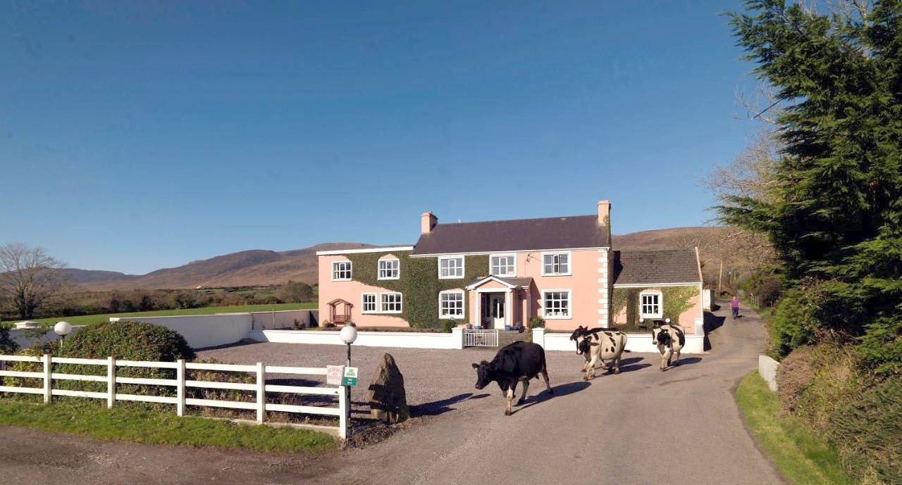 Murphys Farmhouse B&B in Boolteens, Dingle Halbinsel