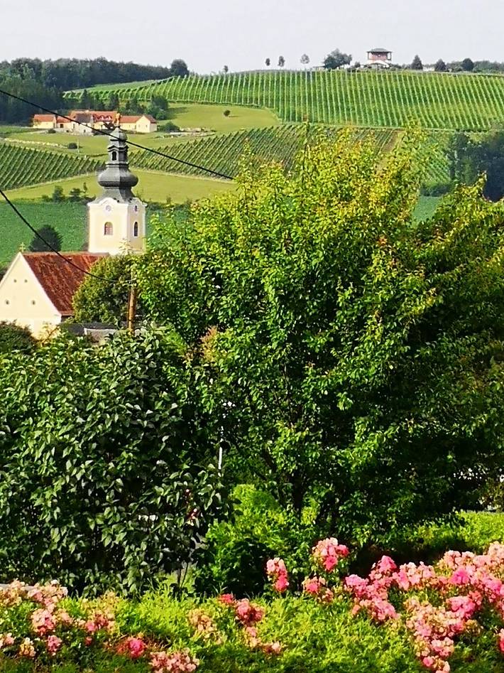 Junior Suite, Dusche oder Bad, Wc, Deluxe in Bad Waltersdorf, Steirerland