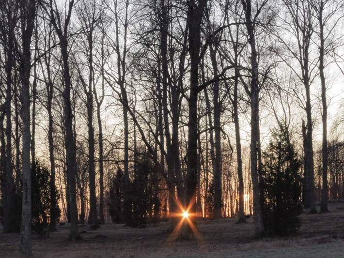 Ferienhaus für 4 Personen, mit Terrasse, kinderfreundlich in Värmland - 3