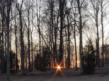 Vacation House for 4 Guests in Hammarö, Central Sweden, Picture 2