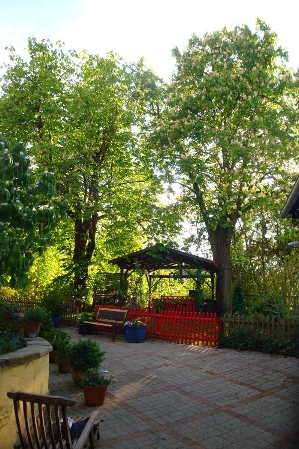 Gîte pour 4 personnes, avec vue sur le lac ainsi que vue et jardin à Bischwiller - 3