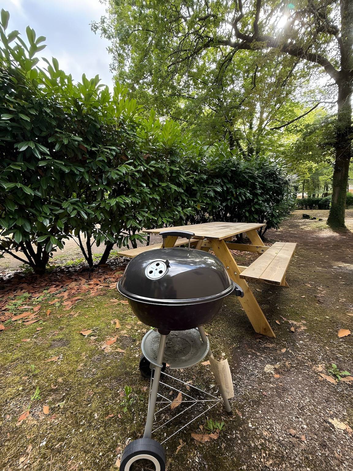Maison de vacances « 6 personnes » avec piscine partagée in Calviac-en-Périgord, Périgord Noir