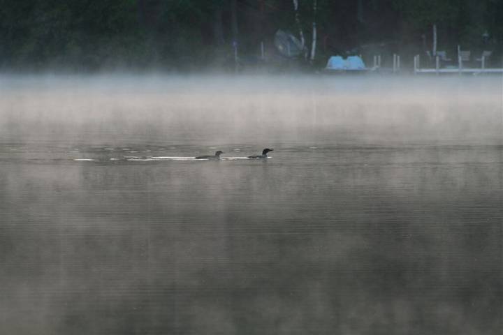Blockhütte für 9 Personen, mit Garten, mit Haustier - 1