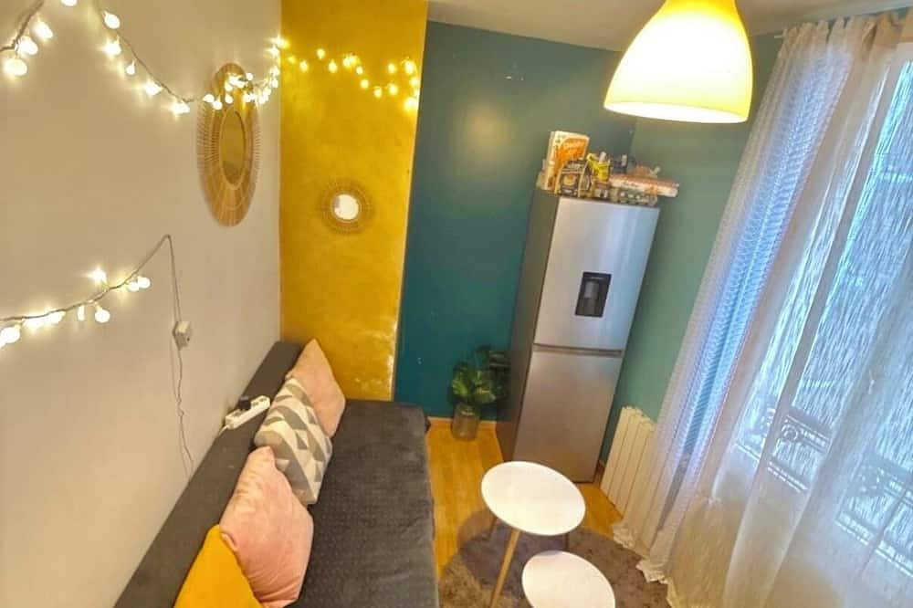 Cosy living room ( private room) in Paris, Ile de France