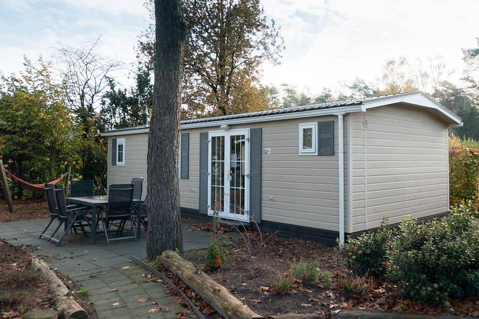 Camping voor 6 Personen in Veluwe, Gelderland