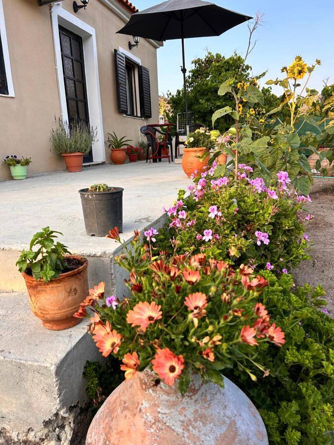 Ferienhaus für 6 Personen, mit Garten und Terrasse sowie Ausblick in Petra (Griechenland) - 4